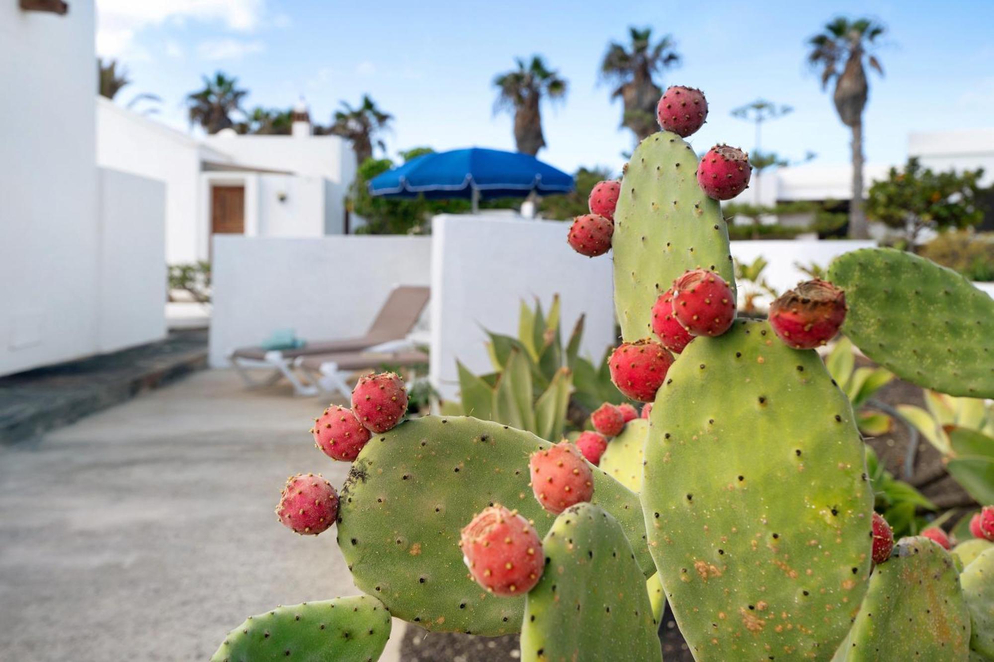Casa Aloe Villa Haría Kültér fotó